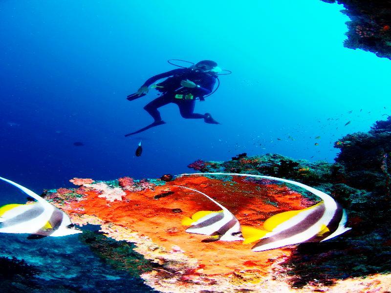 सहारा Anantara Dhigu Maldives 5*